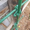 Durable Plant Support Clips for Climbing Plants - 100 Pack