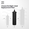 AquaEasy BB9 Activated Carbon Water Filter Candle(2 Piece) Replacement Gravity