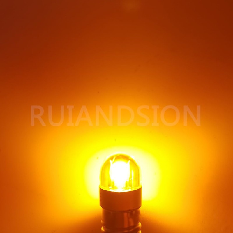 Ruiandsion E10 LED Flashlights Bulb 6V Non Polarity E10 Screw