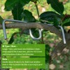 Pack of 25 Branch Separators for Fruit Trees, M-Shaped Branch
