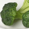 Factory Direct Craft Realistic Artificial Broccoli Florets | Package of