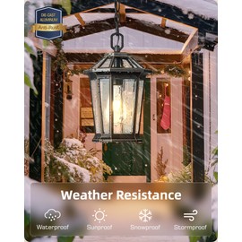 VIANIS Outdoor Pendant Light Fixtures for Porch, Exterior Ceiling Hanging Lanterns, Anti-Rust Waterproof Farmhouse Outdoor Chandelier, Black Gold Aluminum with Tempered Glass for Entryway, 1 Pack