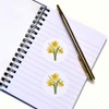 24 x 40mm Round 'Daffodils' Stickers (SK00040239)