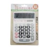 Adesso YD-461 Friendly Calculator, Medium Size, 10 Digits, White
