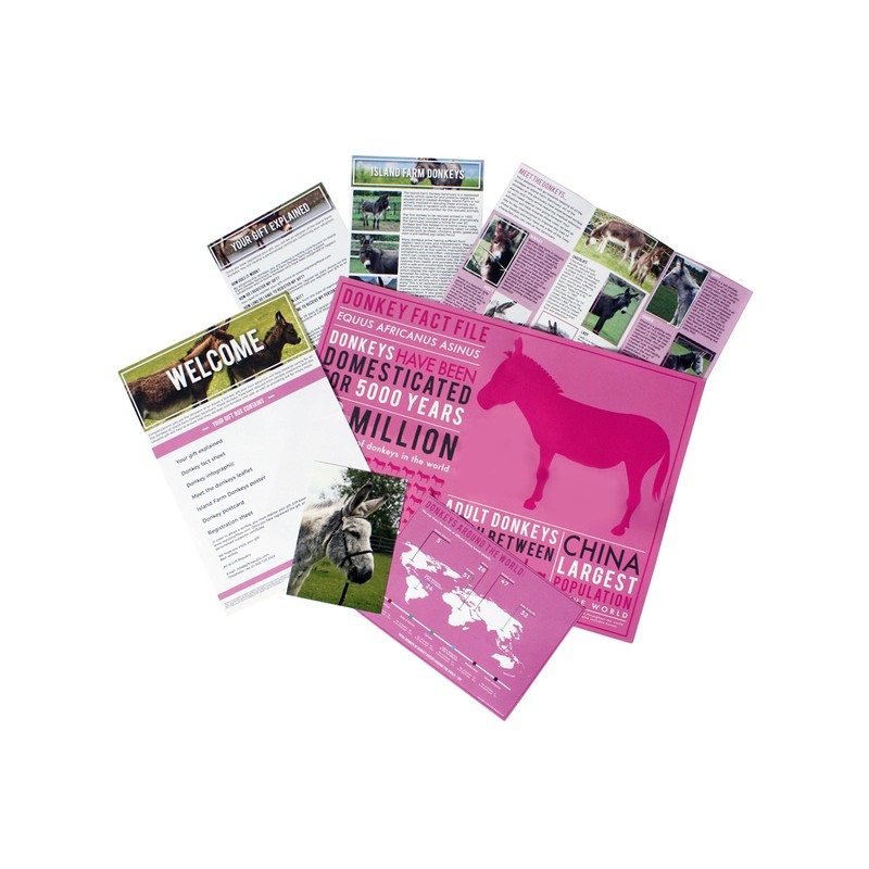 Gift Republic Donkey Adopt It - Lata de adopción de