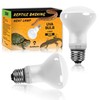 BULBMASTER Reptile Heat Lamp Bulbs - 50 Watts UVA Basking