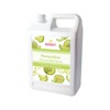 Bossen Concentrated Syrup_5.5 lb (Honeydew)