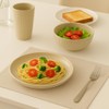 18 pcs Wheat Straw Dinnerware Sets, Dinner Plates, Dessert Plate,