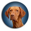Magyar Vizsla Hungarian Shepherd Dog Portrait 5 Round Fridge Magnets