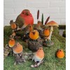 Vivid Arts British Birds Robin Size F