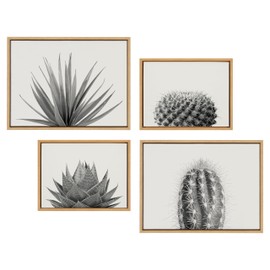 Kate and Laurel Sylvie Haze Aloe Succulent, Cactus Tall, Cactus Short and Agave Succulent Framed Canvas Wall Art Set by The Creative Bunch Studio, 4 Piece Set Natural, Desert Succulent Art