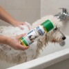 Scabisin Shampoo 250 Ml Chinoin