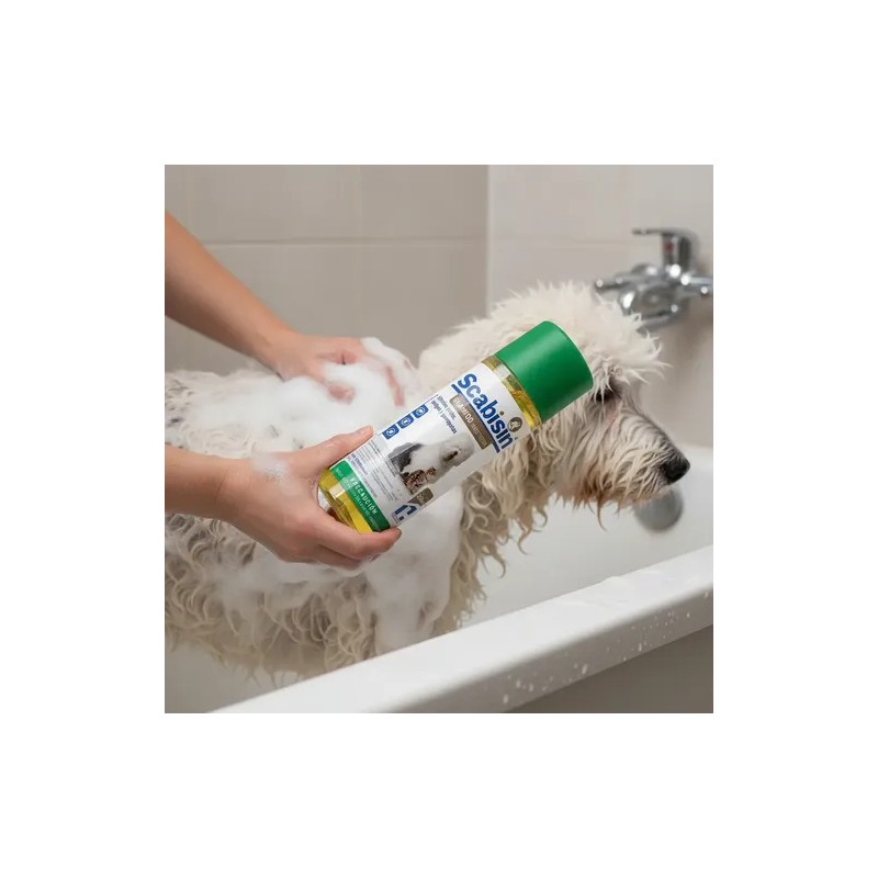 Scabisin Shampoo 250 Ml Chinoin