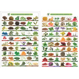 Fenugreek Oil (Trigonella foenum) Essential Oil (15 ML)