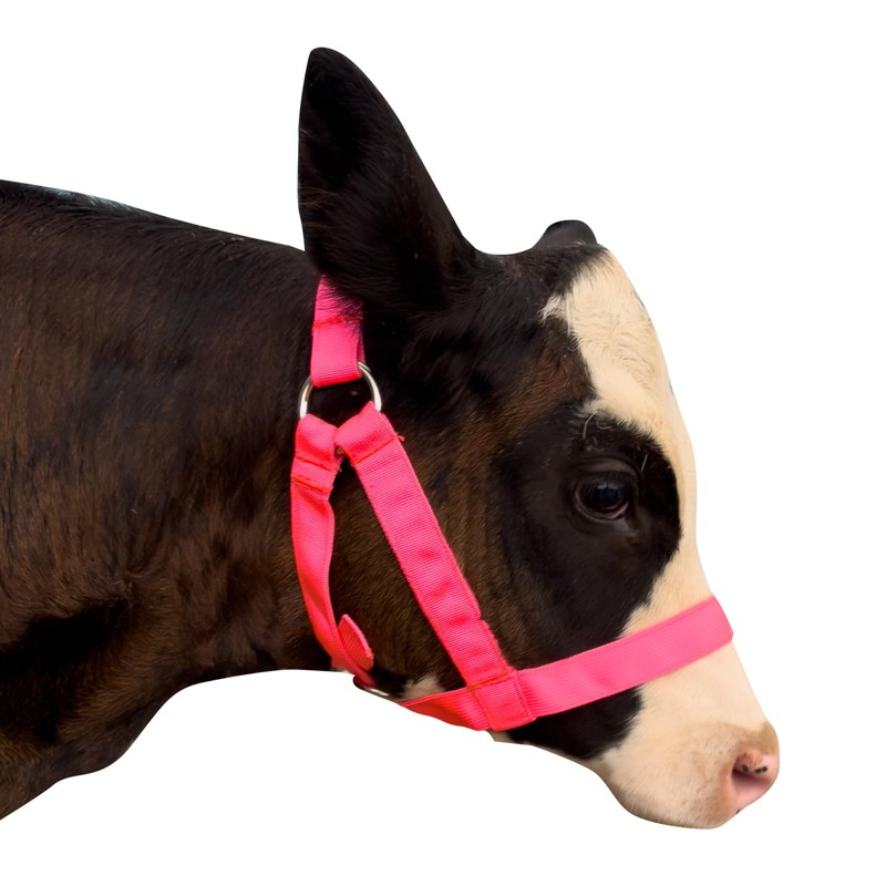 Cow Halter Cattle Halters Adjustable Calf Halter with Leading Rope