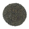 Organic French Green Lentils Whole Raw, High Fiber Non-GMO-Bulk (1LB)