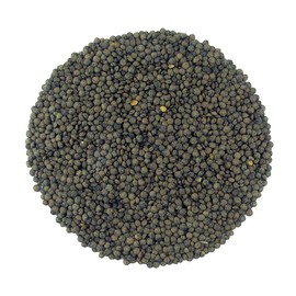 Organic French Green Lentils Whole Raw, High Fiber Non-GMO-Bulk (1LB)