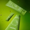 Bplaintext 비플레인 녹두폼 80mlx2개+40ml 총 200ml B-Plain Mung Bean Foam