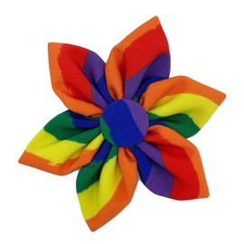 Huxley & Kent Pet Pinwheel | Equality (Small) | Pride Collar Accessory for Dogs/Cats | Fun, Comfortable & Adjustable Pet Accessory