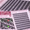 Geeneiya Wispy Lash Clusters Natural Eyelash Clusters 10-16mm Spider Lashes