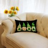 Ogiselestyle St Patricks Day Luck Gnomes Throw Pillow Cover, 12