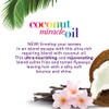 Ogx Shampoo Coconut Miracle Oil 13 Ounce X-Strength (385ml) (2