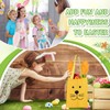 Scinzene Easter Bags Set of 4, Easter Bags with Rabbit