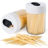 Urbanstrive Sturdy Safe Toothpick Holder with 800 Natural Wood Toothpicks