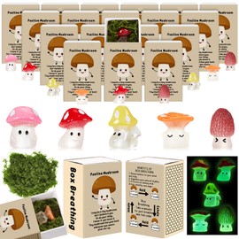 Cinnvoice 25 Sets Affirmation Mini Luminous Resin Appreciation Gift Box Breathing Gift Bulk for Coworker Emotional Mental Health Care Support Anxiety Sensory Steps Gifts for Team School Xmas, Mushroom