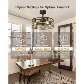 addlon 20" Black Caged Ceiling Fan with Lights, Fandelier Fan with Remote, 6 Speeds & Timer, Farmhouse Downrod Mount Bladeless Ceiling Fan for Bedroom, Kitchen, Outdoor