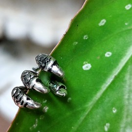 "Trident Triple" Claw Cartilage Earring 316L Stainless Steel (Sold as Pair)