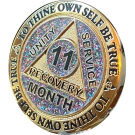 11 Month AA Medallion Reflex Funfetti Birthday Glitter Gold Sobriety Chip