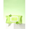Real Centella Cica Watery Cleansing Tissue (100 sheets) / 리얼