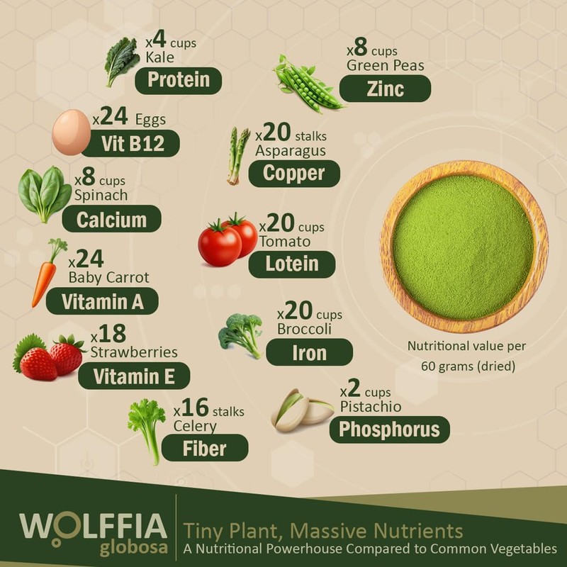 Premium Dried Wolffia globosa Superfood | Low Carb, High Protein