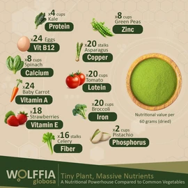 Premium Dried Wolffia globosa Superfood | Low Carb, High Protein 40% | Rich in Minerals, Vitamins A E B12 & Essential Amino Acids | The Future of Sustainable Plant-Based Nutrition 2.11 oz (60g)