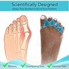 Toe Separators (2 Pairs Blue) - Correct Your Toes with