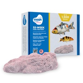 Magic Pond Rocks, Fish Tank Rocks for Enhancing Water Clarity with Your Regular Cleaning Routine, Fish Friendly Aquarium Rocks, All Natural Aquarium Decor, Medium - 750-1,500 Gallons