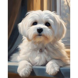 VNUIEHG Adults' Paint by Number Kits, Maltese Dog on Windowsill, Paint by Number Kits on Canvas, DIY Oil Paintings for Adults Beginners Arts and Crafts, 40x50cm No Frame