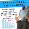 Izumi Silica (16.9 fl oz (500 ml)