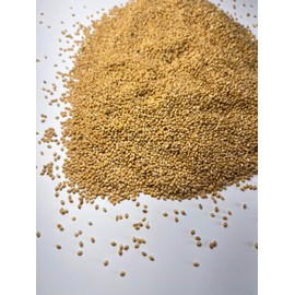 Golden Millet Seeds Waterfowl Duck Food Plot Seeds Cover Crop 10 lbs.