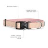 Tella & Stella - Dog Collar for Small Dog -