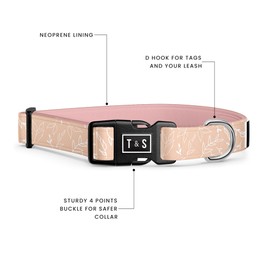 Tella & Stella - Dog Collar for Small Dog - Adjustable Collar - 9 in to 12.5 in Wide-Soft on Dog’s Fur - Lined with Neoprene for Comfort - Chrome D Ring for Hooking The Leash (Athéa, Small)