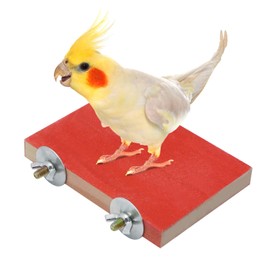 Bird Parrot Perch Stand Platform Natural Wooden Coarse Sand Grinding Claw Stand Suitable for Parrot Parakeet Cockatiel Budgie Conures Lovebird Finch