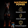 11-in-1 Muscle Gain Chews - Weight Gain Supplements for Dogs