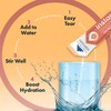 Electrolytes Powder - 3X Electrolytes, Zero Sugar with Vitamin C,