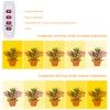 LED Plant Grow Light 5 Dimmable Modes 4 Head Timing