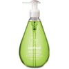 Hand Wash, Green Tea + Aloe Vera, 12 fl oz