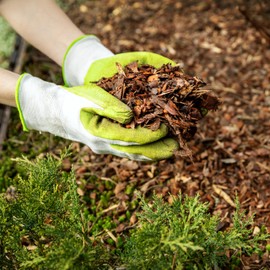 GARDENWISE Premium Cypress Mulch for Landscaping, Gardens, Lawns, Reptile Bedding, and Potted Plants (2 CF - 56 L - 59 QTS)