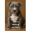 My Dog's Medical Records: Gray Pitbull Edition