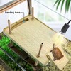 Large Turtle Floating Basking Platform with Feeding Area, Turtle Floating
